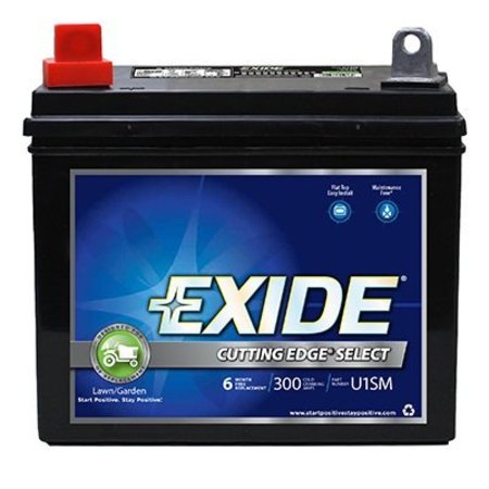 BATTERY SYSTEMS 12V L And G Tractor Battery U1SM